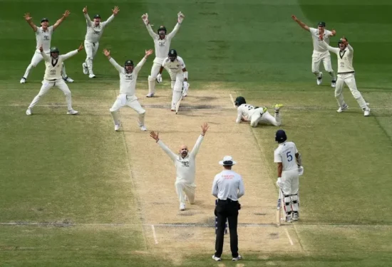 Cricket 1 Cricket 1